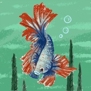 Meet your Posher, Felicita